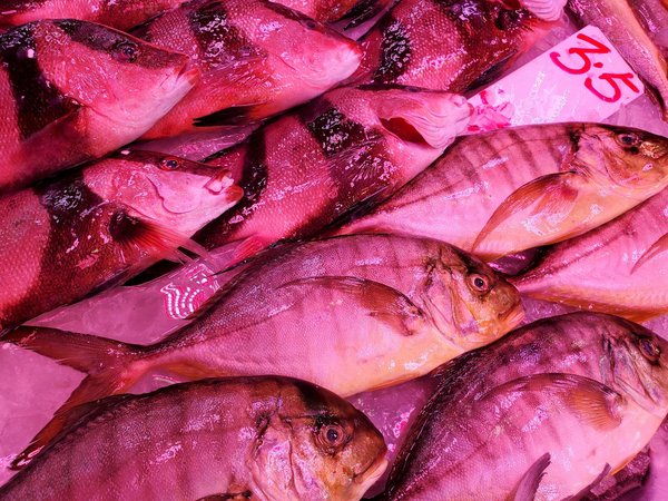 Les mythes et réalités sur la tuberculose